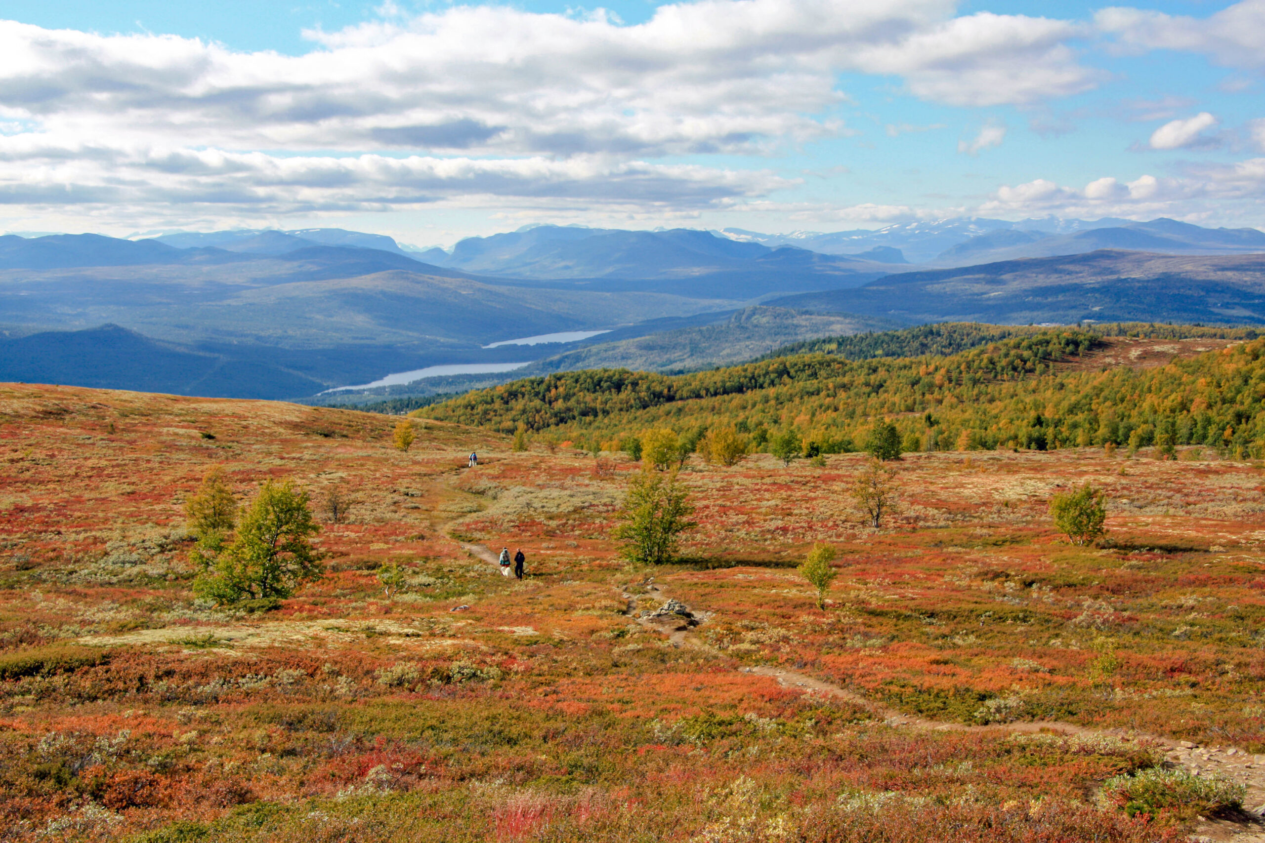 Skåbu © Skåbu Tradisjonsbygg